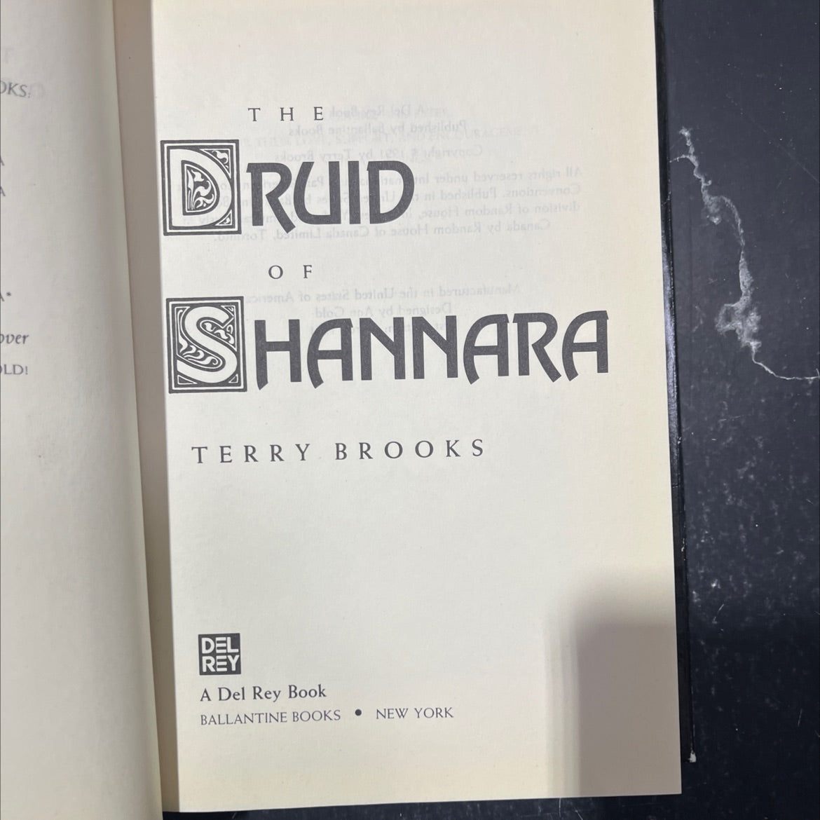 the druid book, by Terry Brooks, 1991 Hardcover image 2