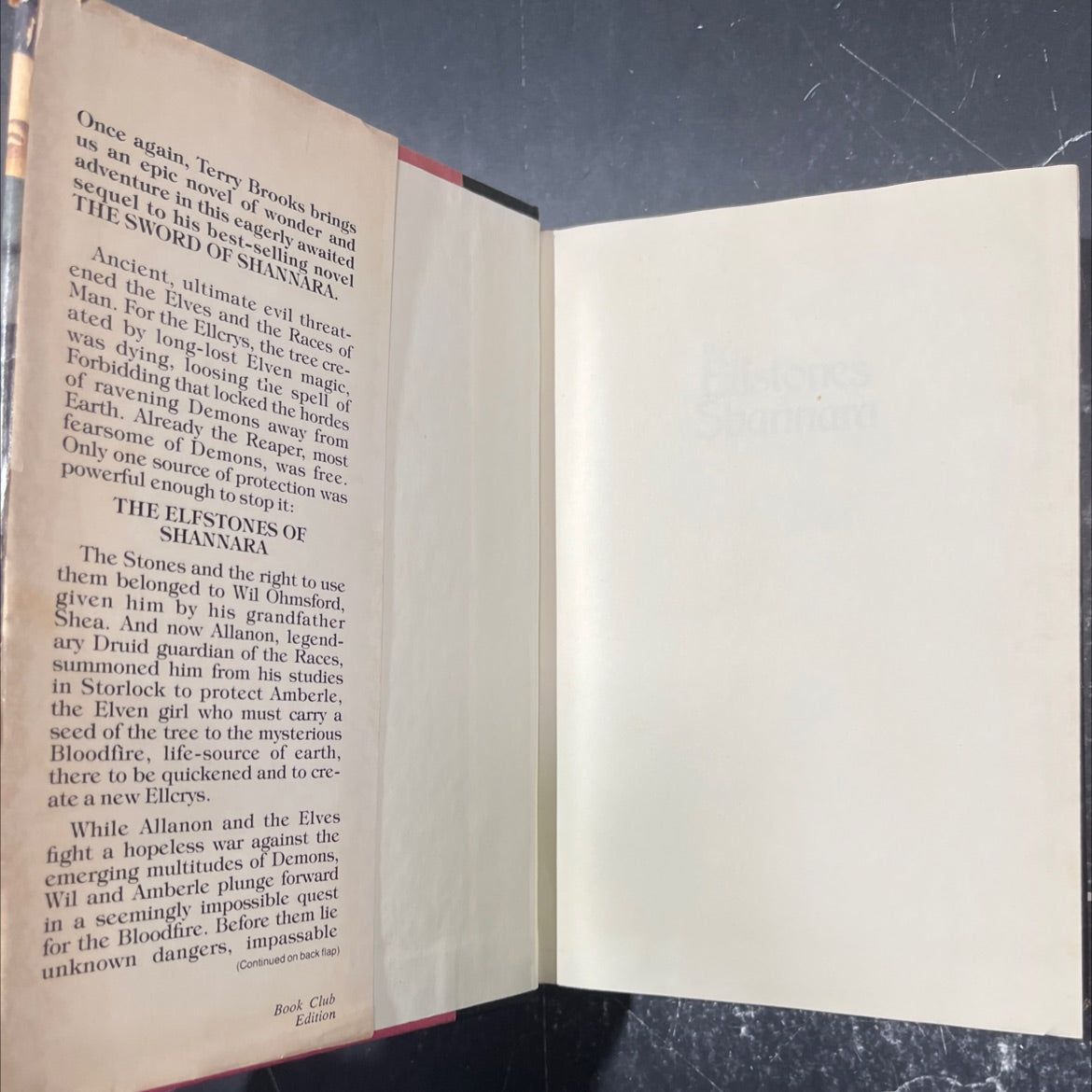 the elfstones shannara book, by terry brooks, 1982 Hardcover image 4