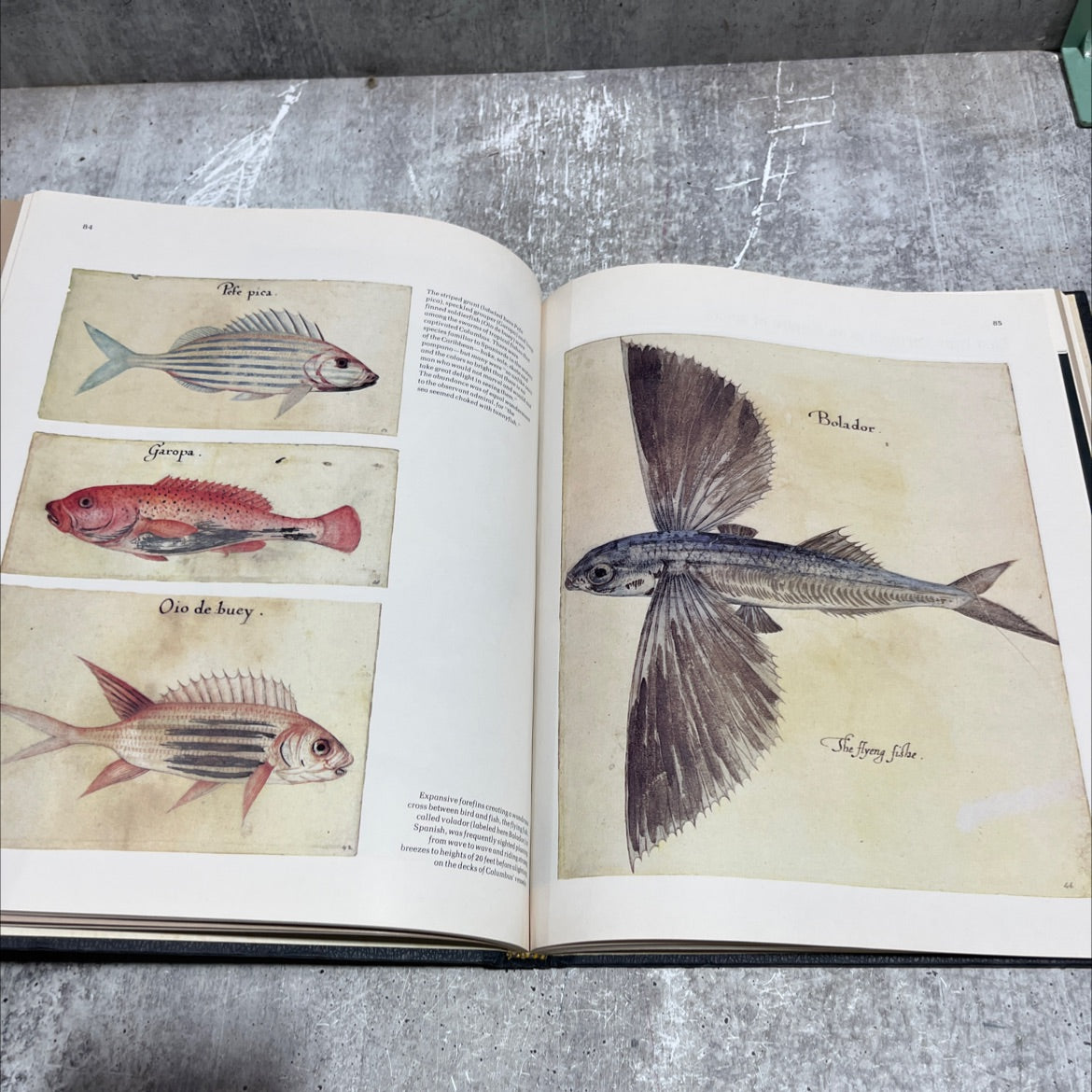 the explorers book, by Richard Humble, 1978 Hardcover image 4