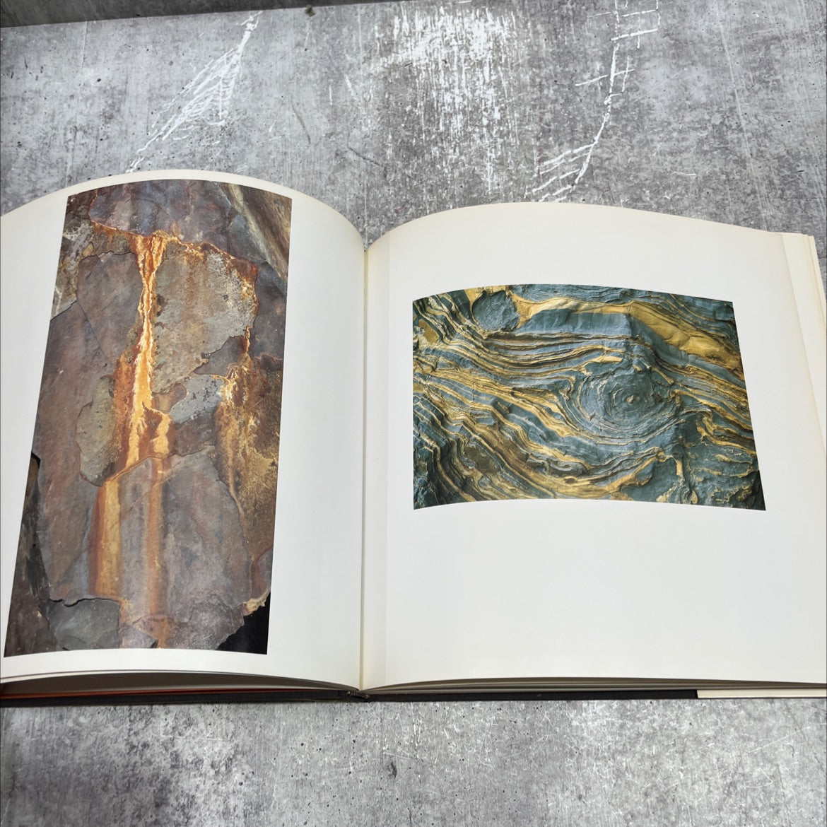 the eye of the beholder book, by Heinz Bertelsmann, Elizabeth Bertelsmann, 1981 Hardcover image 4
