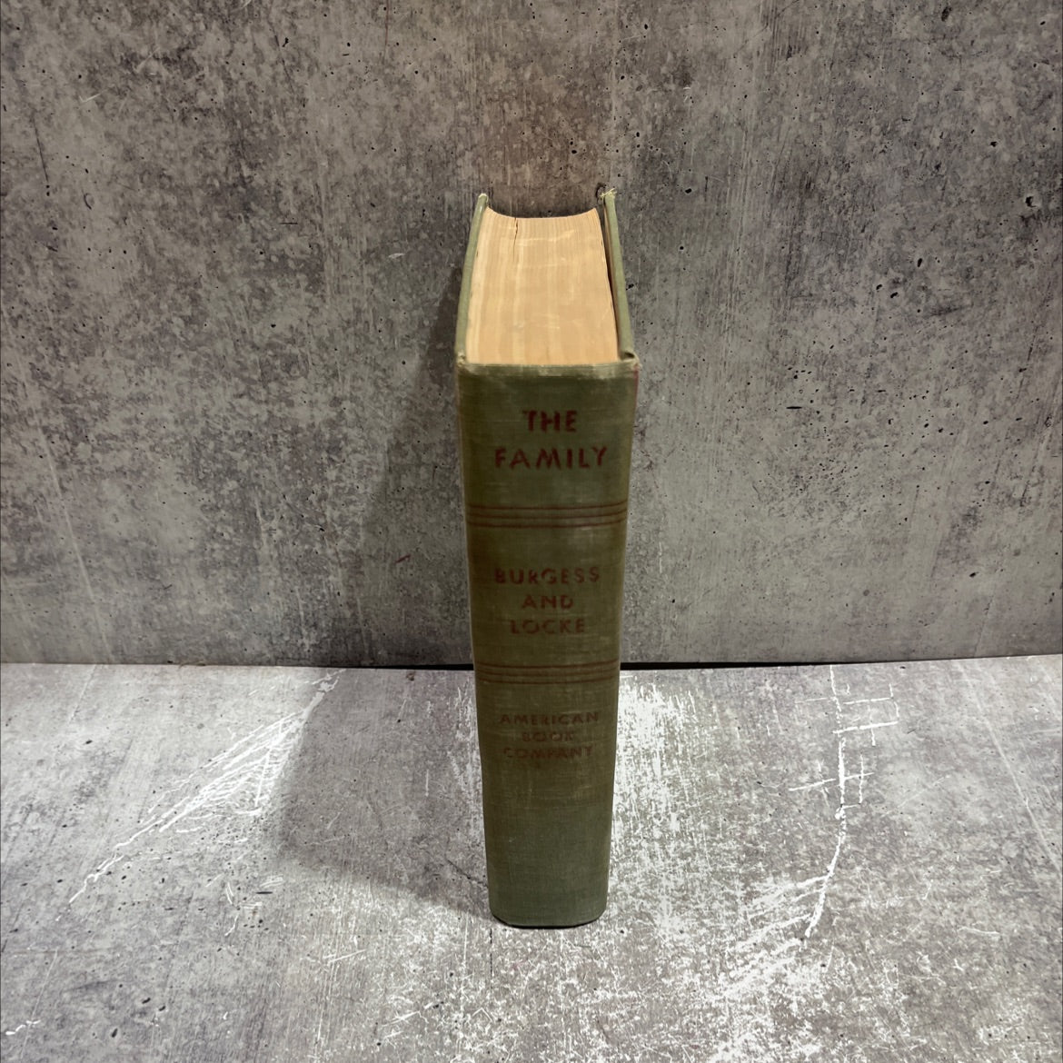 the family from institution to companionship ties book, by ernest w. burgess, harvey j. locke, 1945 Hardcover image 4