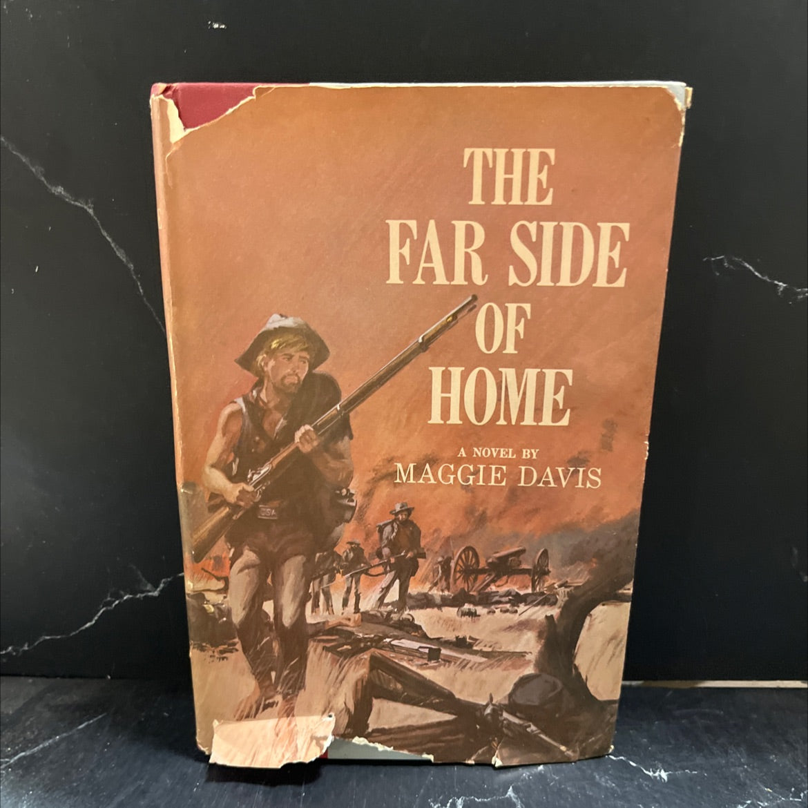 the far side of home book, by maggie davis, 1963 Hardcover image 1