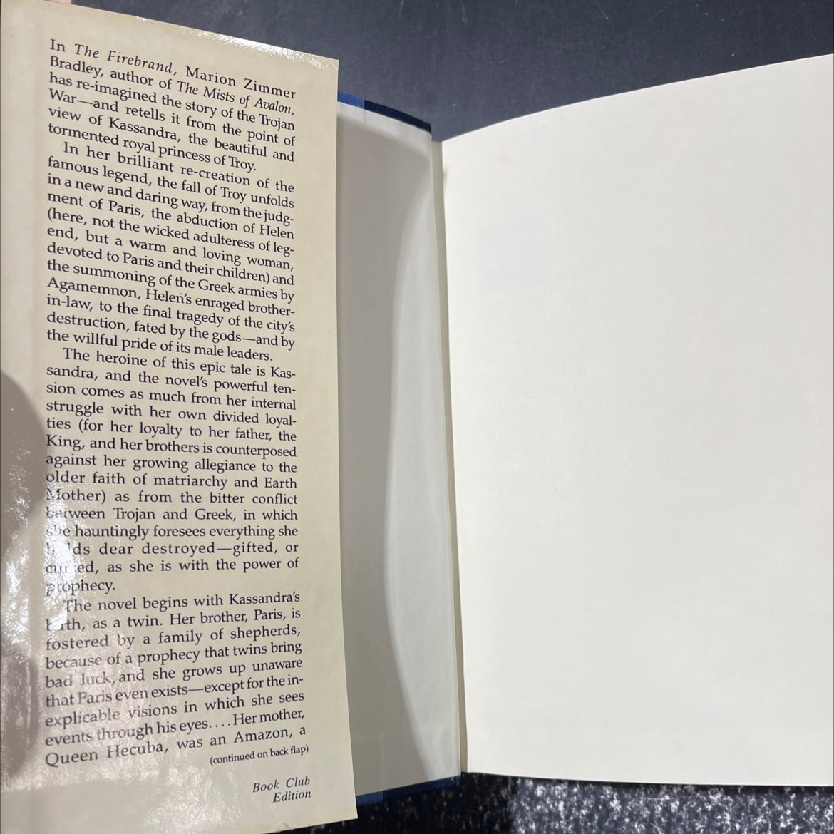 the fire brand book, by marion zimmer bradley, 1987 Hardcover image 4