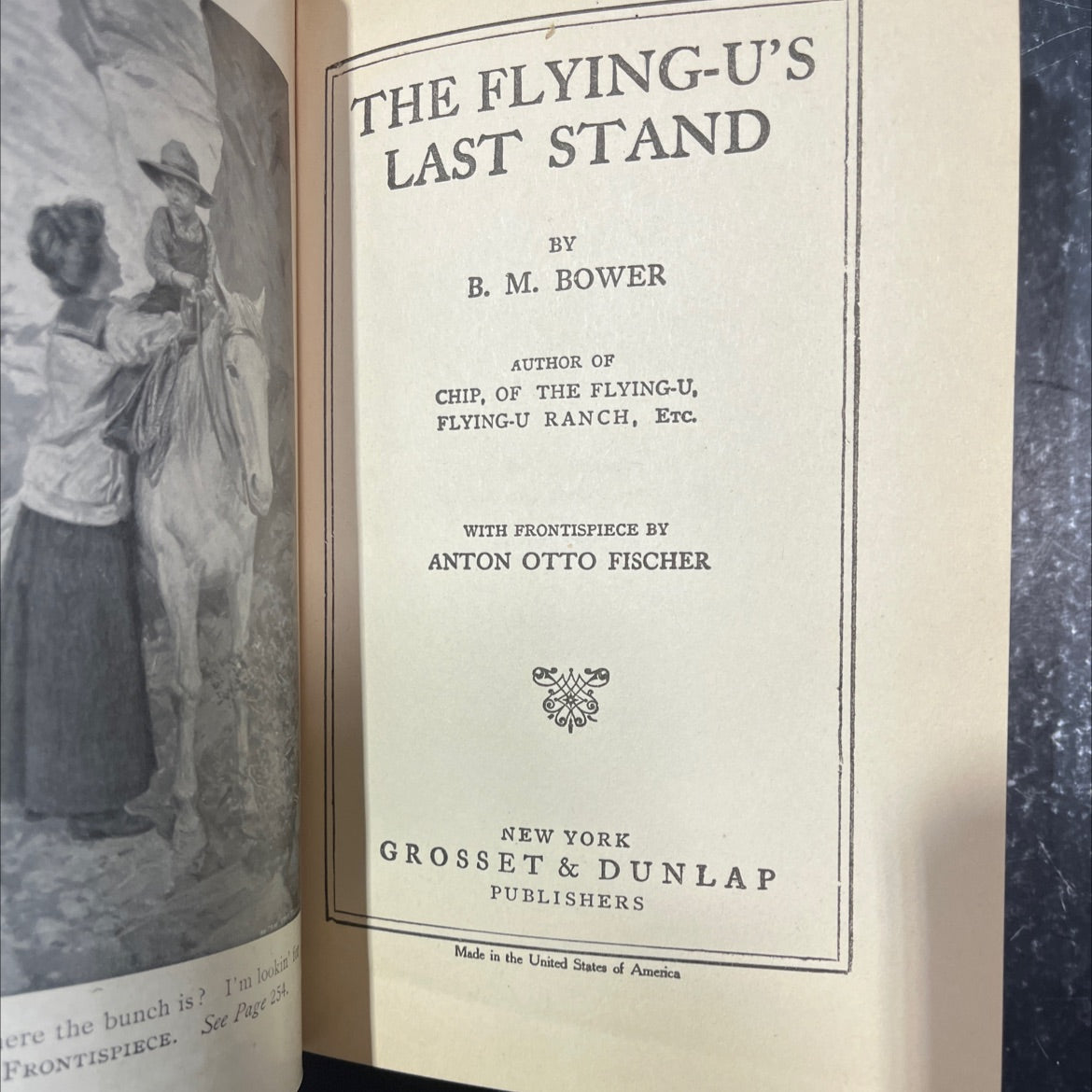 the flying-u's last stand book, by b. m. bower, 1915 Hardcover image 2