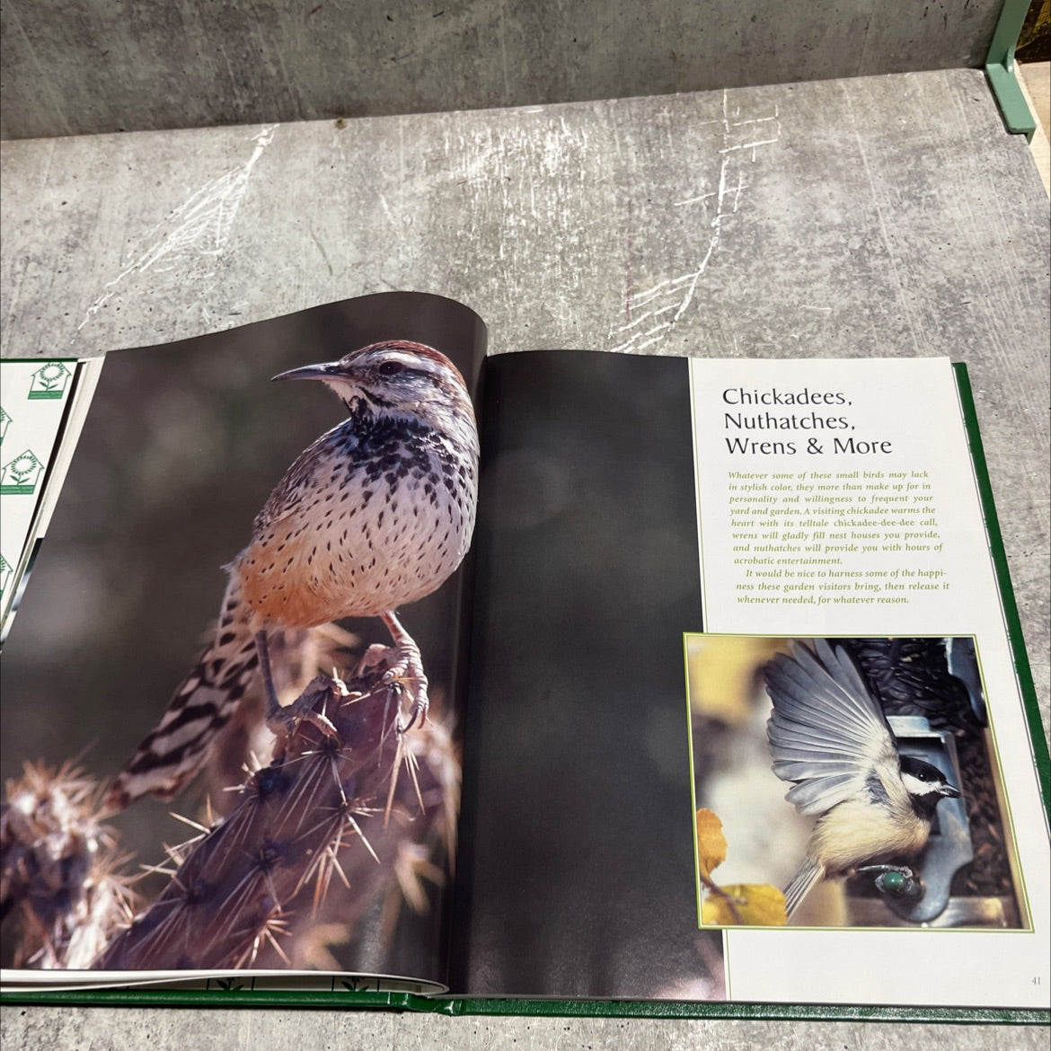 the gardener's bird book book, by Tom Carpenter, 2001 Hardcover image 4