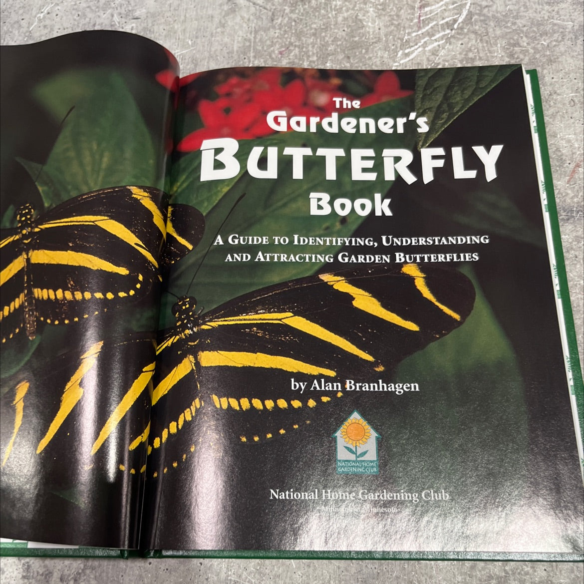 the gardener's butterfly book book, by Alan Branhagen, 2001 Hardcover image 2