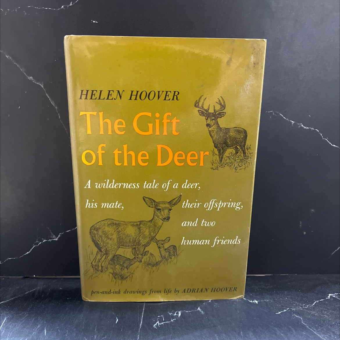 the gift of the deer book, by Helen Hoover, 1968 Hardcover image 1