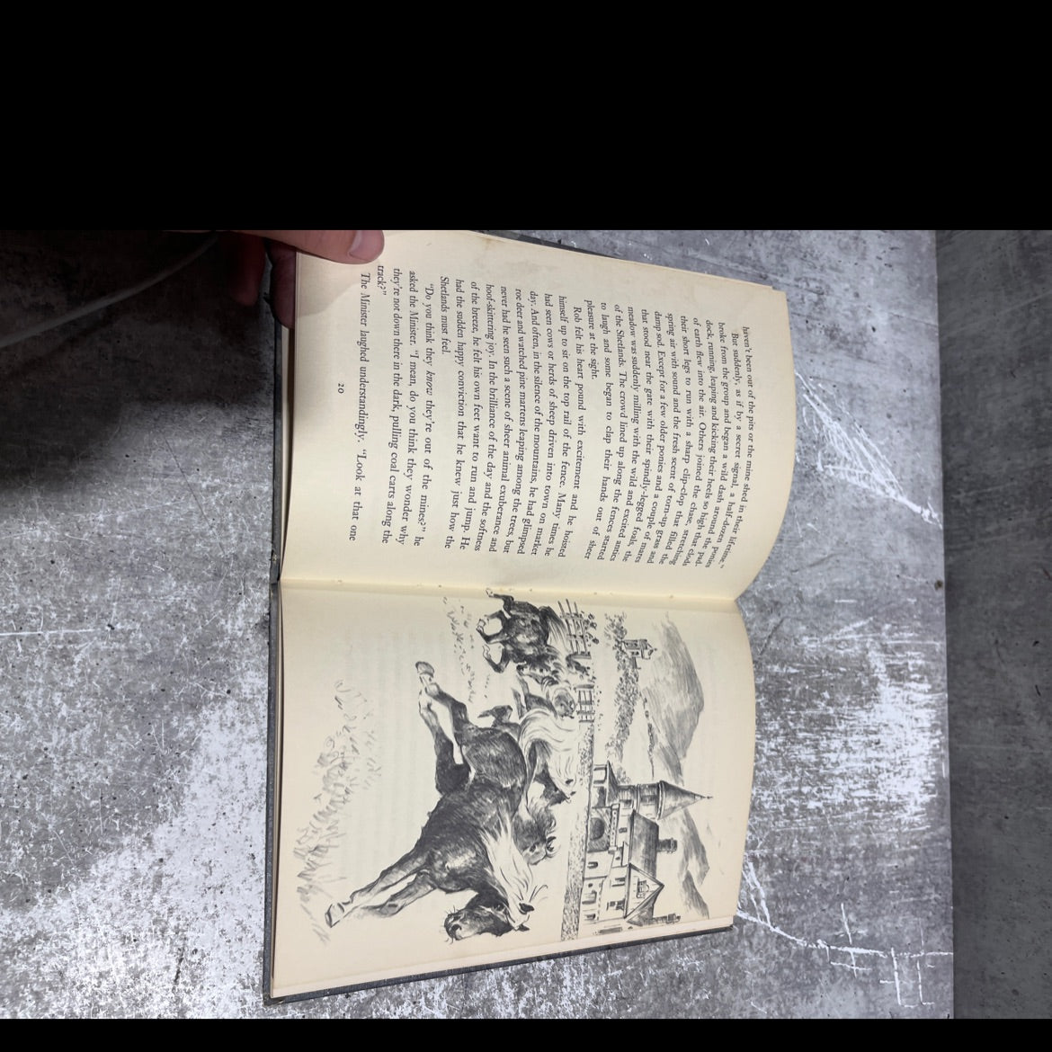 the ginger horse book, by Maureen Daly, 1964 Hardcover image 3
