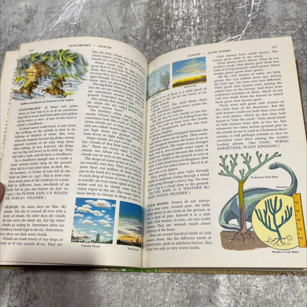 the golden book encyclopedia volume iv-chalk to czechoslovakia book, by bertha morris parker, 1959 Hardcover image 4