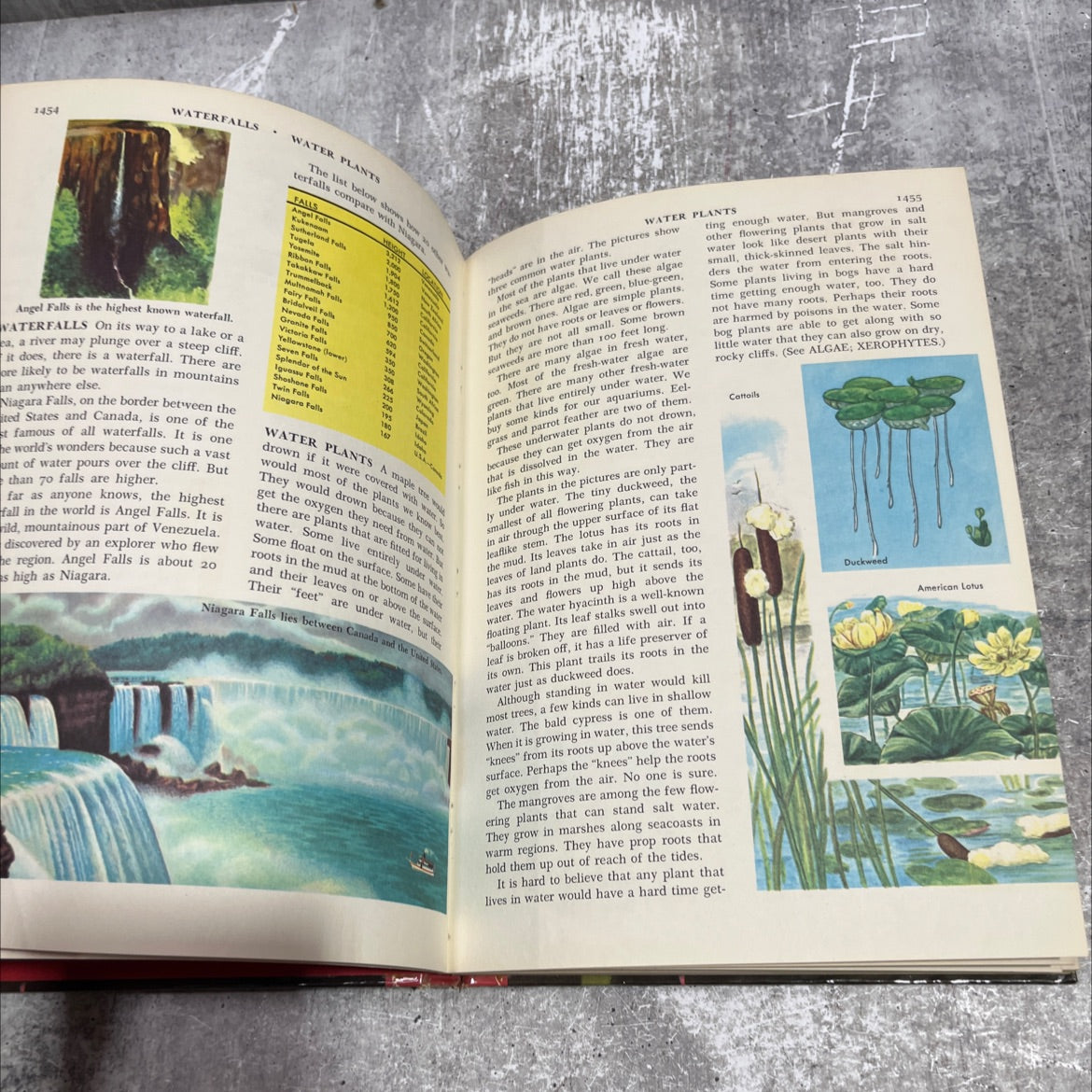 the golden book encyclopedia book, by bertha morris parker, 1960 Hardcover image 4