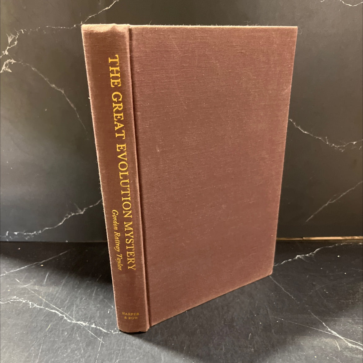 the great evolution mystery book, by Gordon Rattray Taylor, 1983 Hardcover image 1