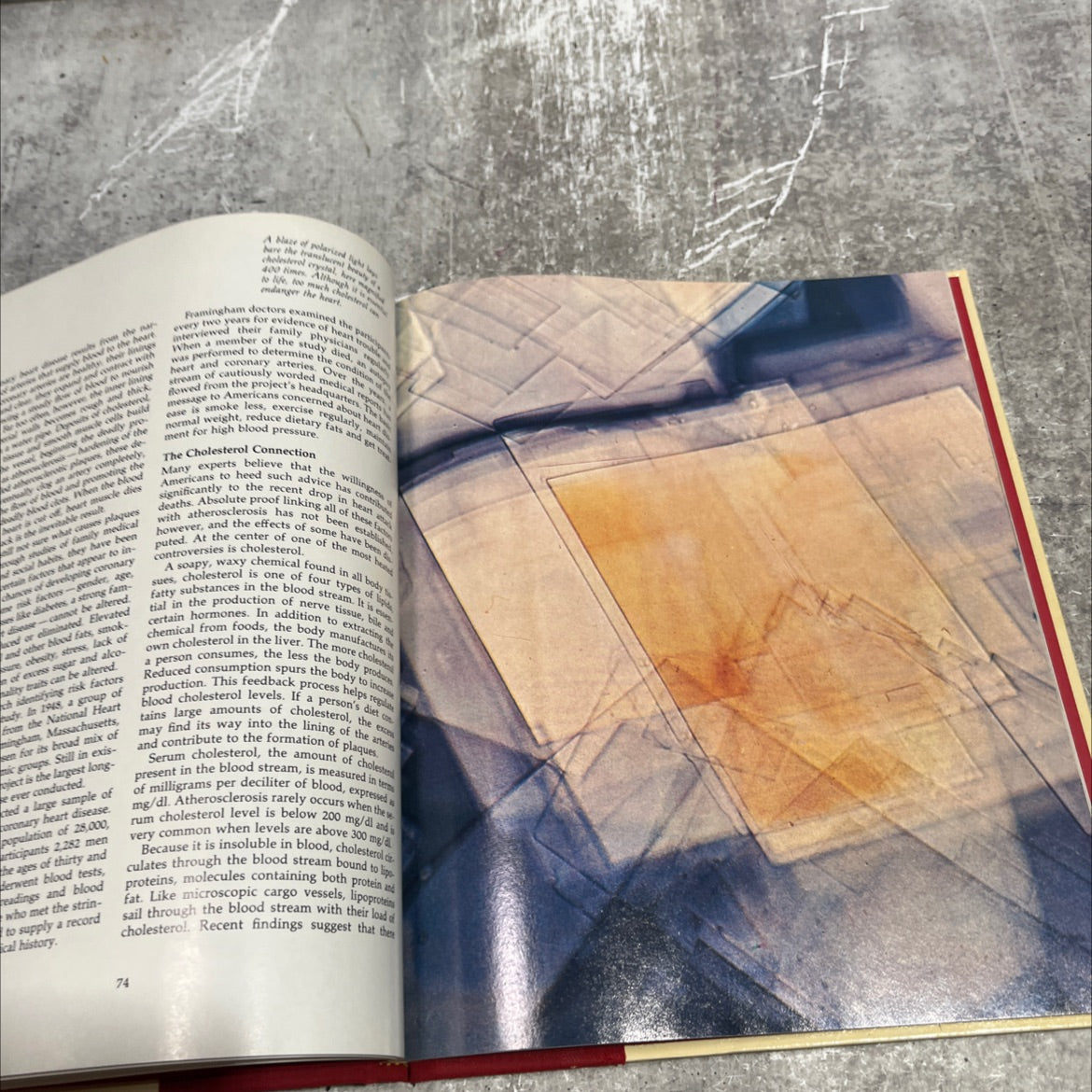 the heart: the living pump book, by Goode P. Davis, Jr., Edwards Park, 1981 Hardcover image 4