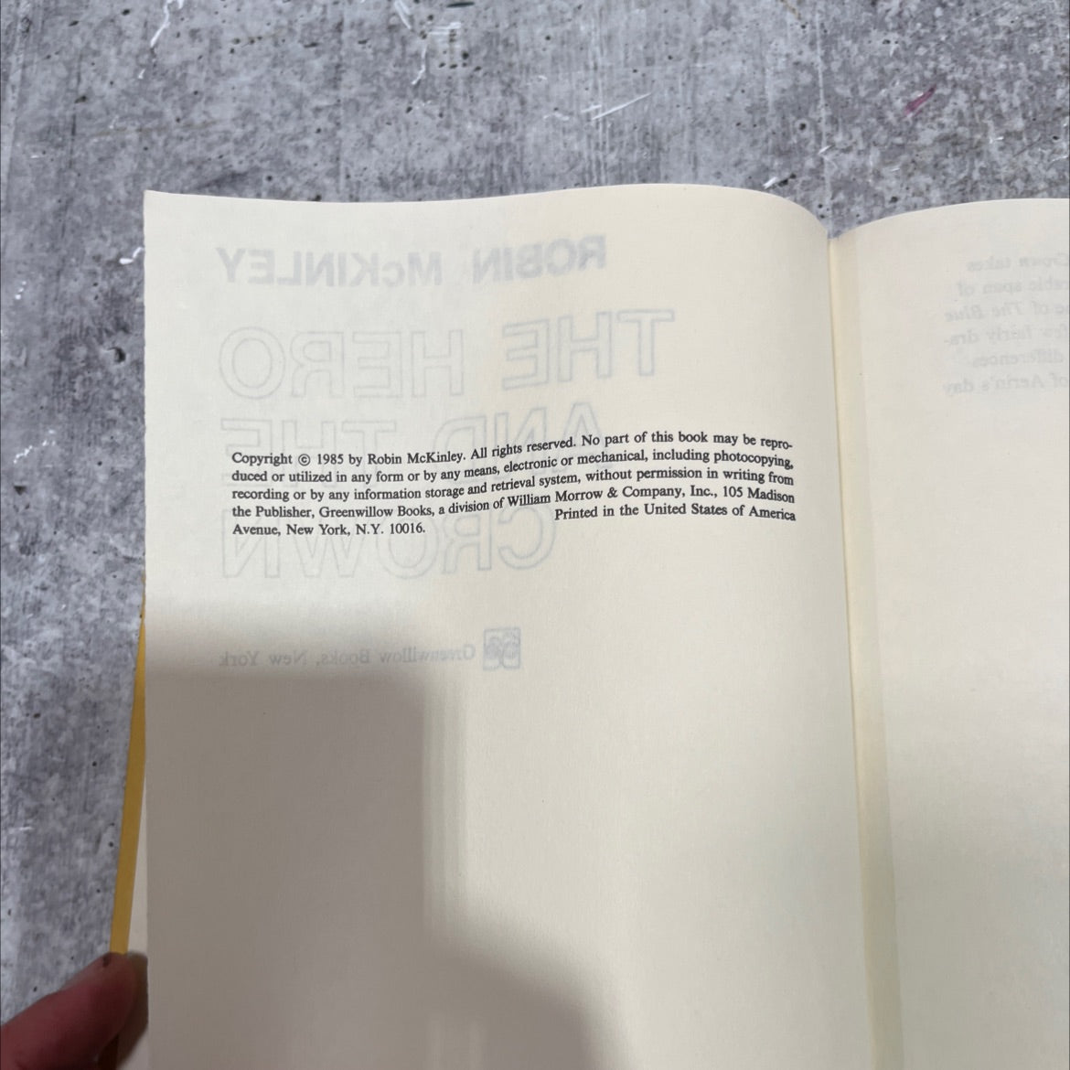the hero and the crown book, by robin mckinley, 1985 Hardcover image 3