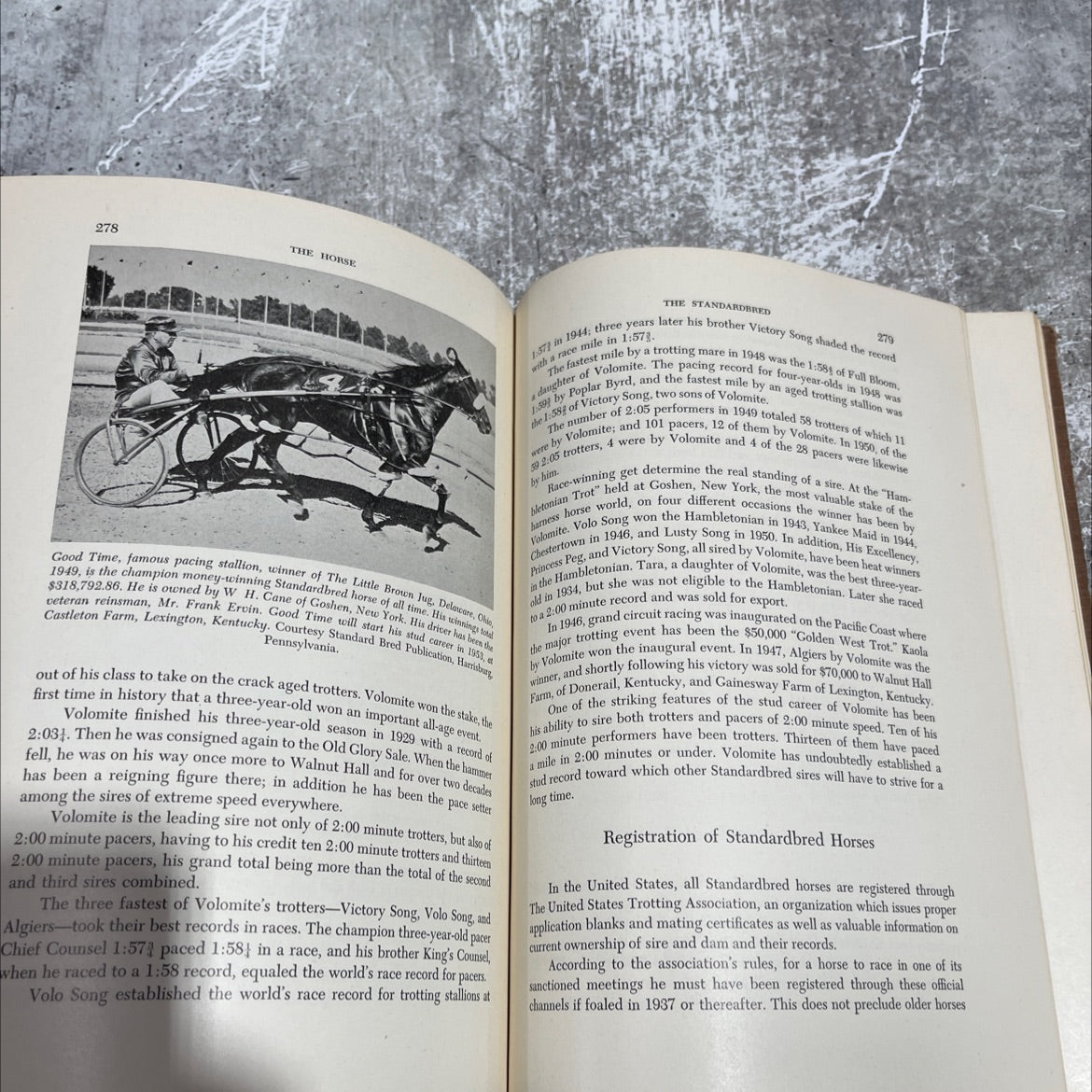 the horse judging breeding - feeding management-selling book, by D. J. Kays, 1953 Hardcover image 4