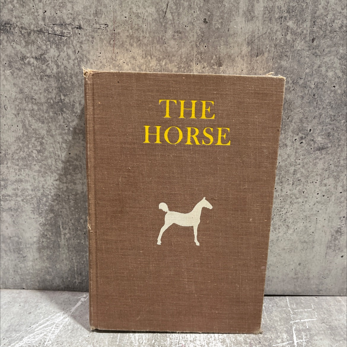 the horse judging breeding - feeding management-selling book, by D. J. Kays, 1953 Hardcover image 1