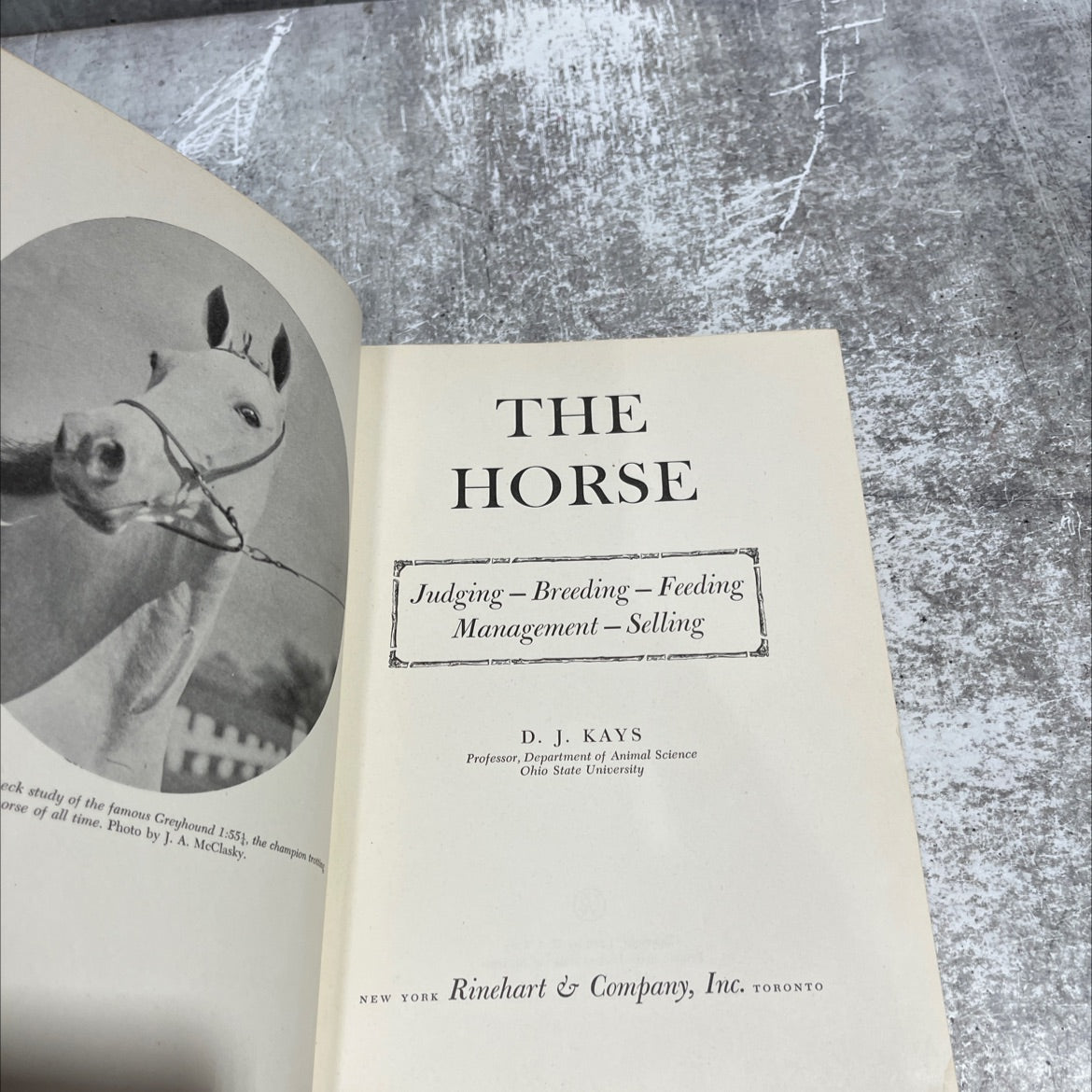 the horse judging breeding - feeding management-selling book, by D. J. Kays, 1953 Hardcover image 2