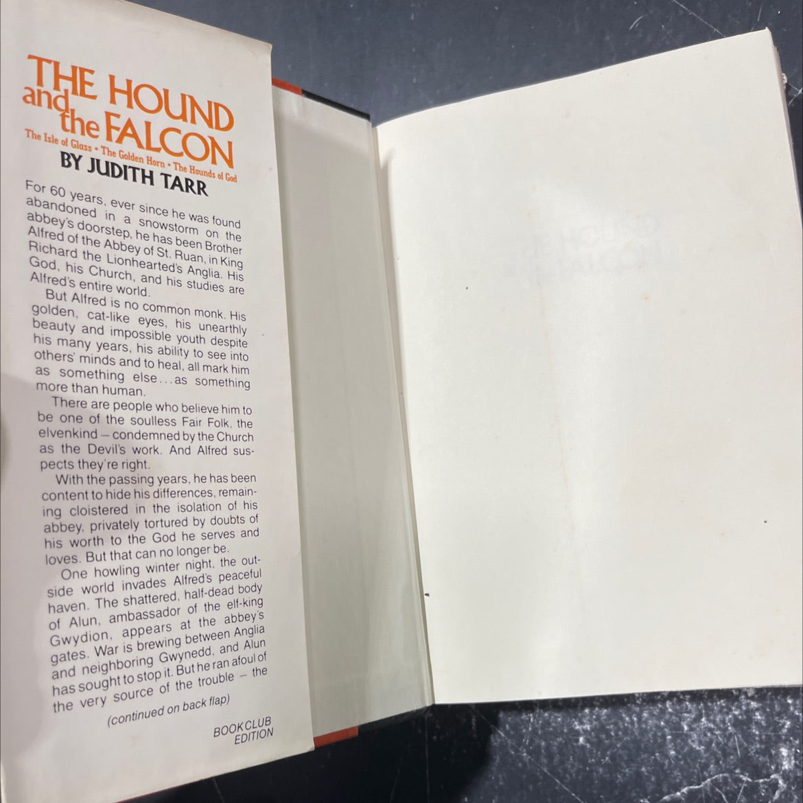 the hound and the falcon book, by judith tarr, 1986 Hardcover image 4