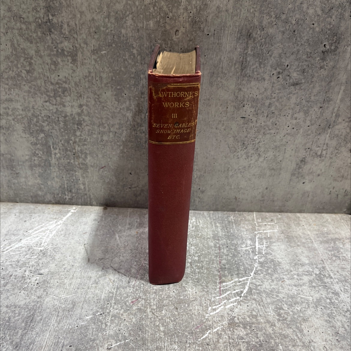 the house of the seven gables and the snow image and other twice-told tales book, by nathaniel hawthorne, 1888 Hardcover image 4