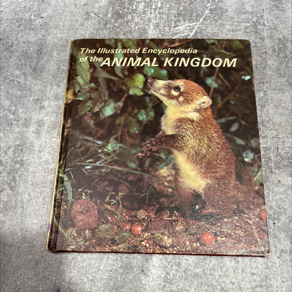 the illustrated encyclopedia of the animal kingdom book, by percy knauth, 1971 Hardcover image 1