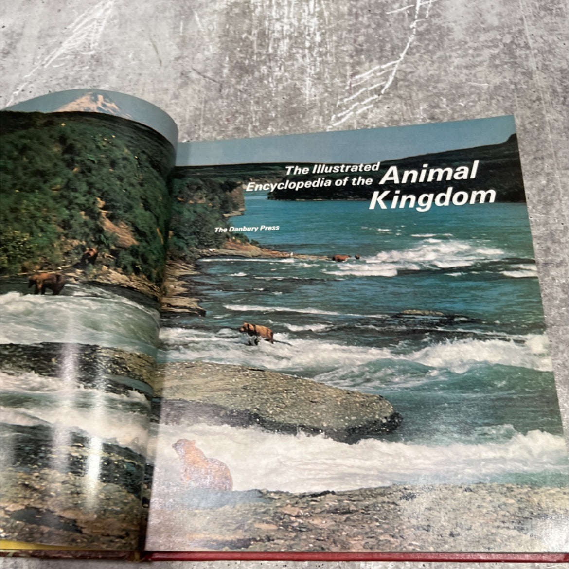 the illustrated encyclopedia of the animal kingdom book, by percy knauth, 1971 Hardcover image 2