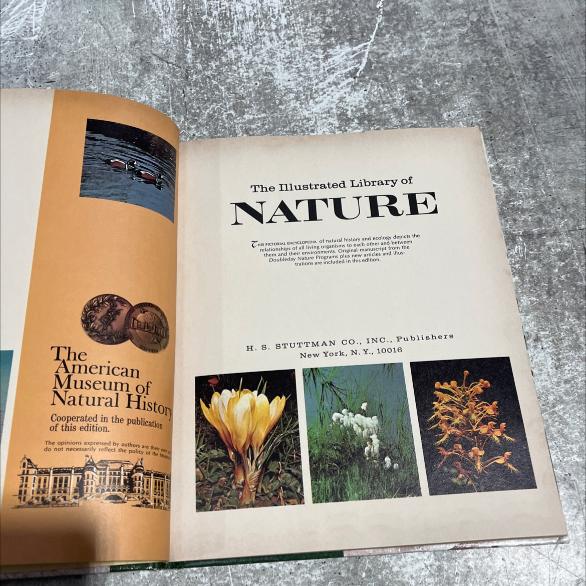 the illustrated library of nature book, by unknown, 1971 Hardcover image 2