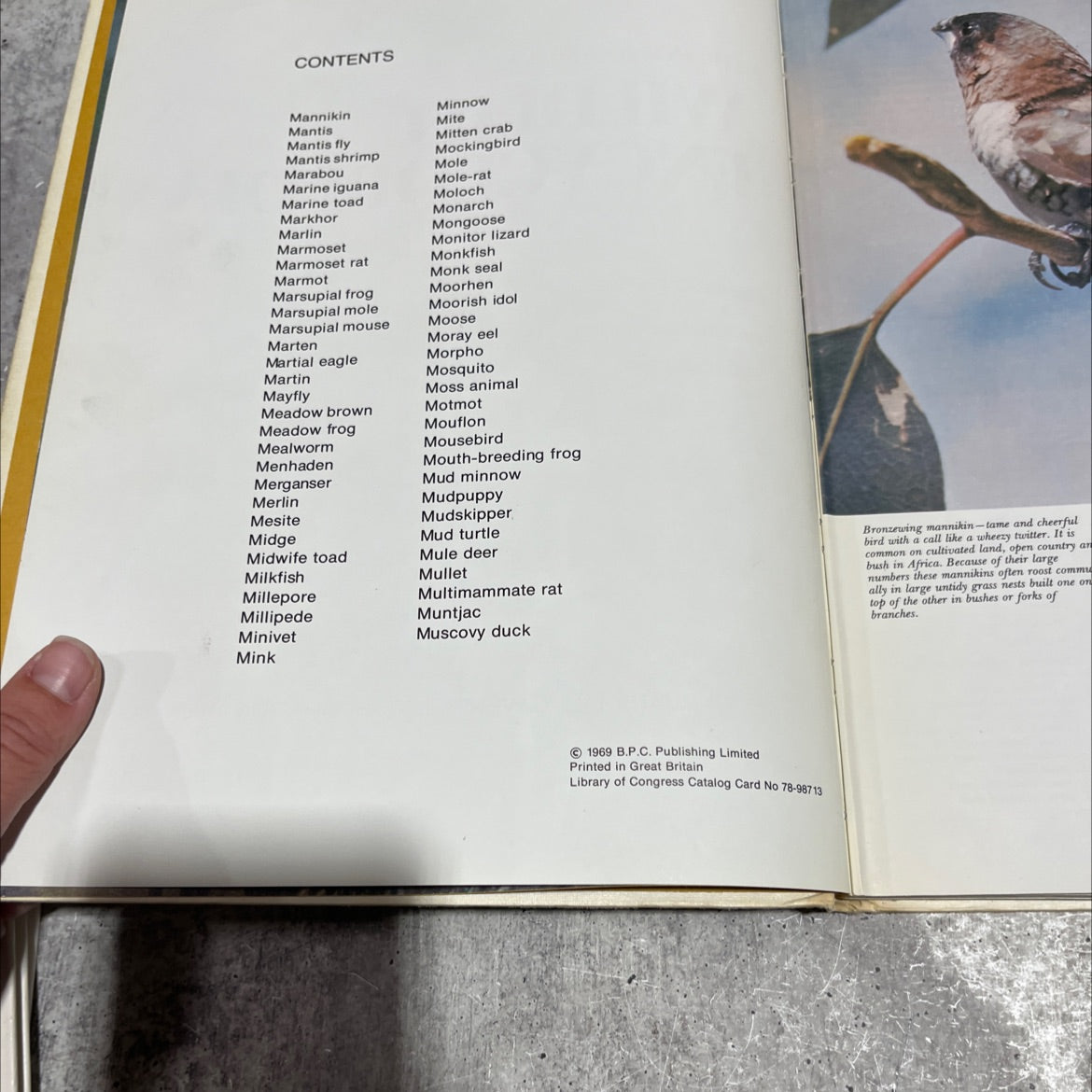 the international wildlife encyclopedia book, by dr. maurice burton, robert burton, 1969 Hardcover image 3