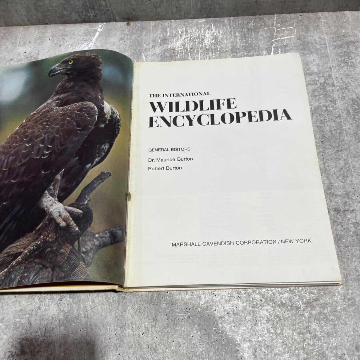 the international wildlife encyclopedia book, by dr. maurice burton, robert burton, 1969 Hardcover image 2