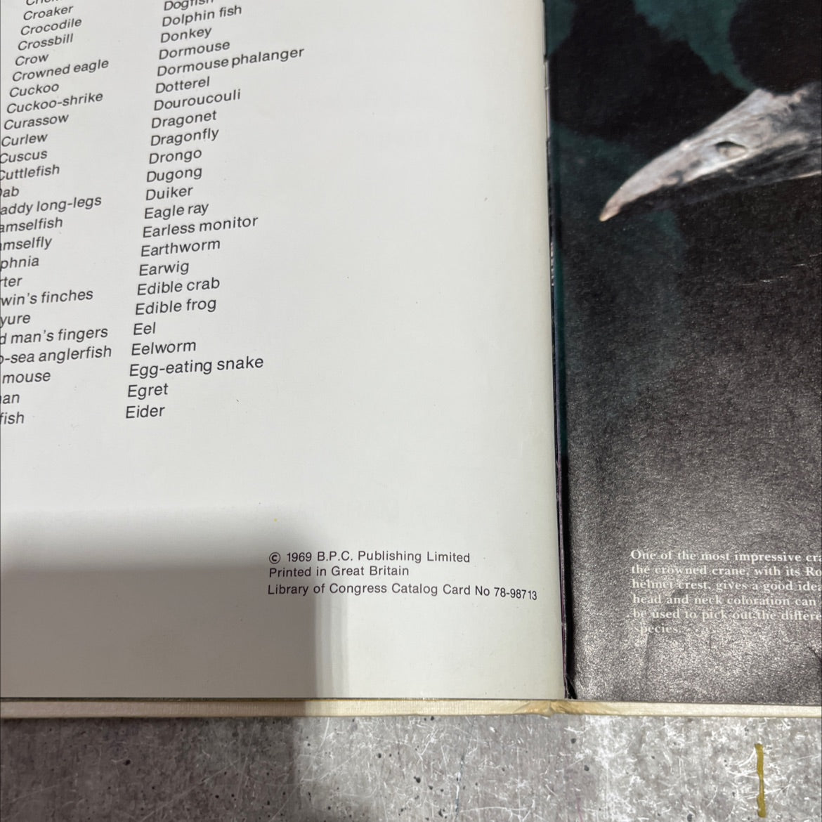 the international wildlife encyclopedia book, by dr. maurice burton, robert burton, 1969 Hardcover image 3