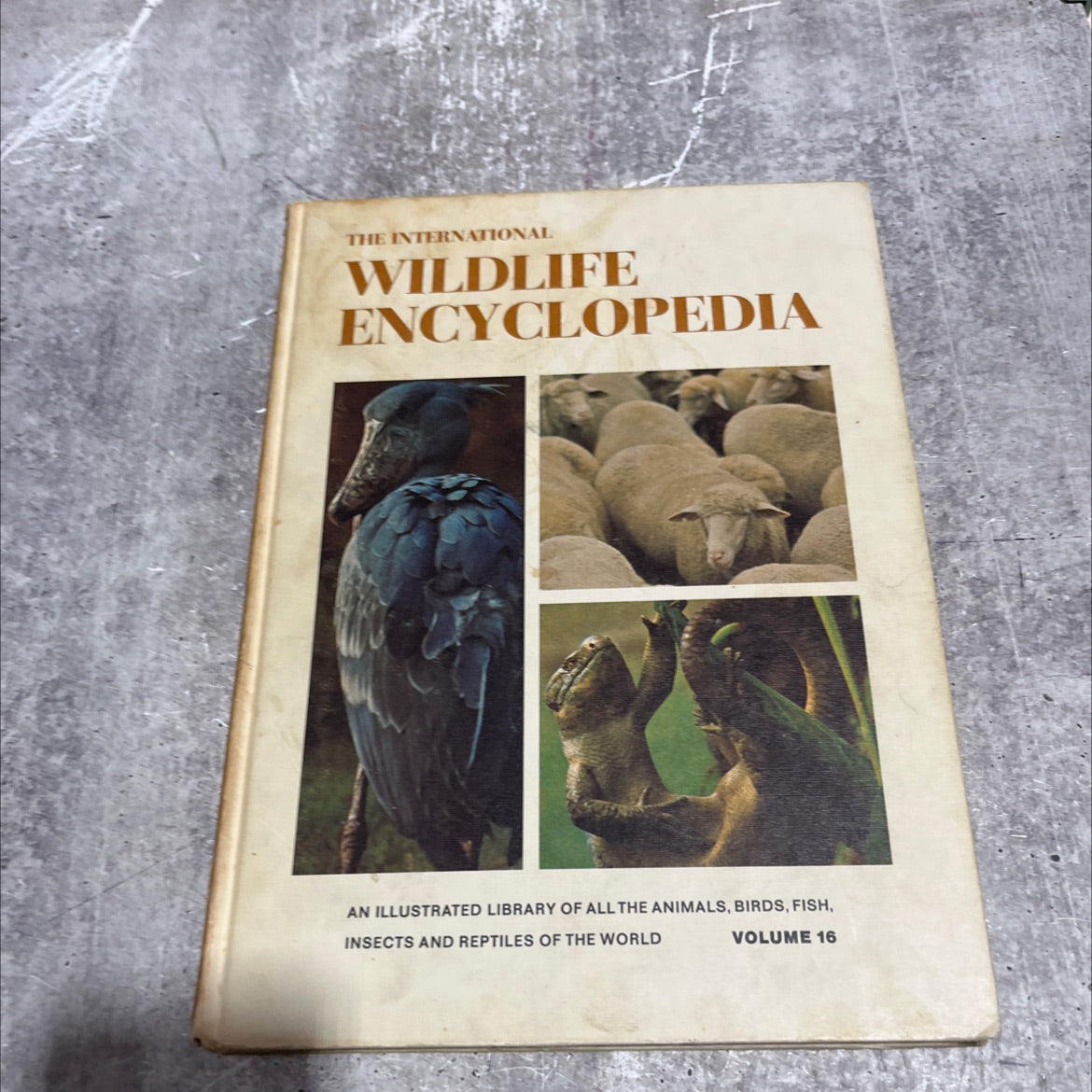 the international wildlife encyclopedia book, by dr. maurice burton, robert burton, 1970 Hardcover image 1