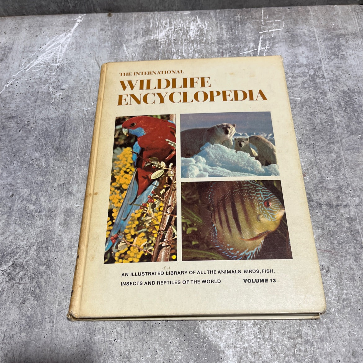 the international wildlife encyclopedia book, by dr. maurice burton, robert burton, 1970 Hardcover image 1