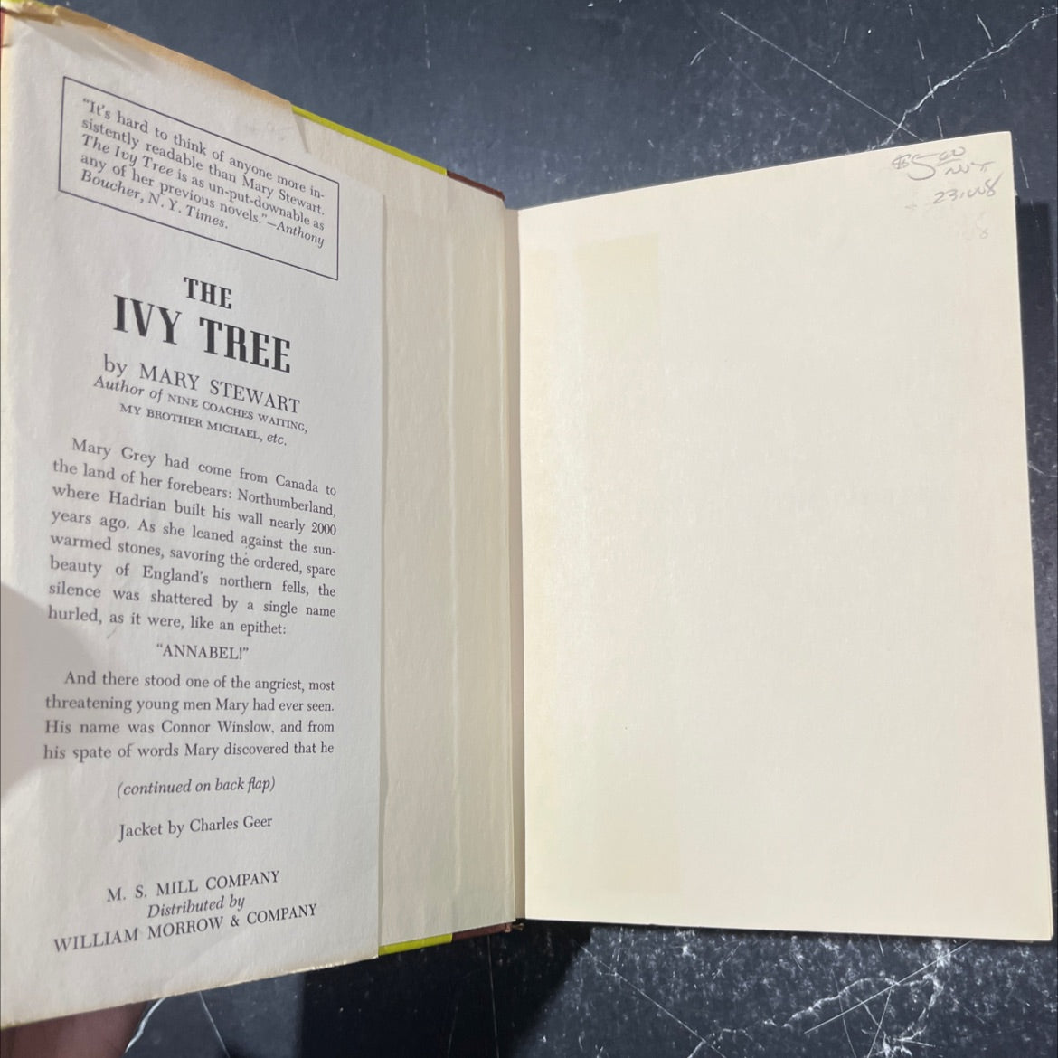 the ivy tree book, by mary stewart, 1965 Hardcover image 4
