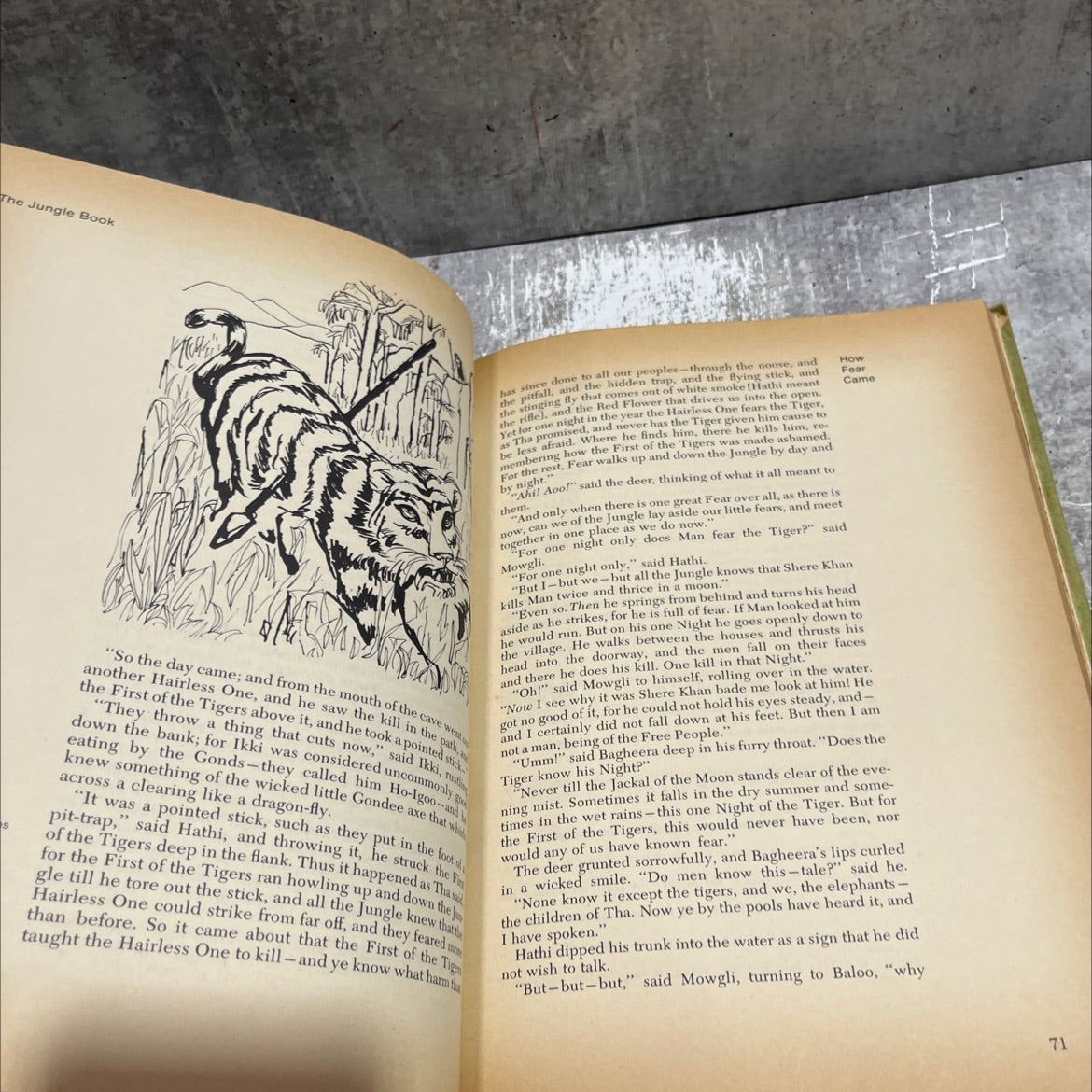 the jungle book book, by rudyard kipling, 1968 Hardcover image 4