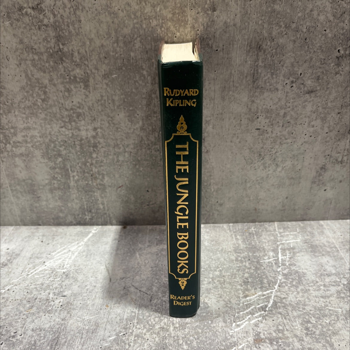 the jungle books book, by rudyard kipling, 2005 Leather image 4