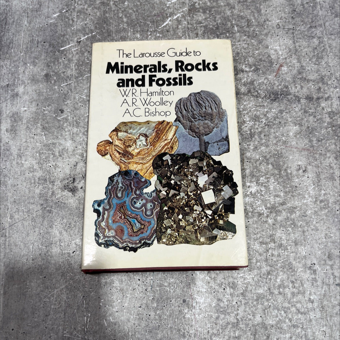 the larousse guide to minerals, rocks and fossils book, by wr.hamilton, a.r. woolley, a.c. bishop, 1980 Hardcover image 1