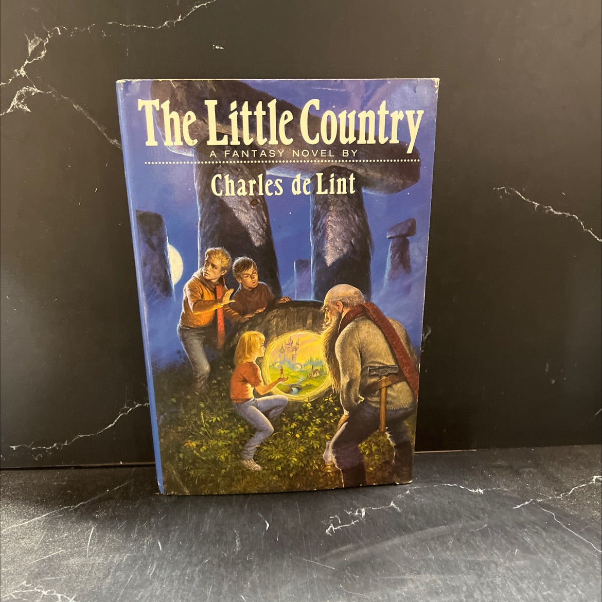 the little country book, by charles de lint, 1991 Hardcover image 1