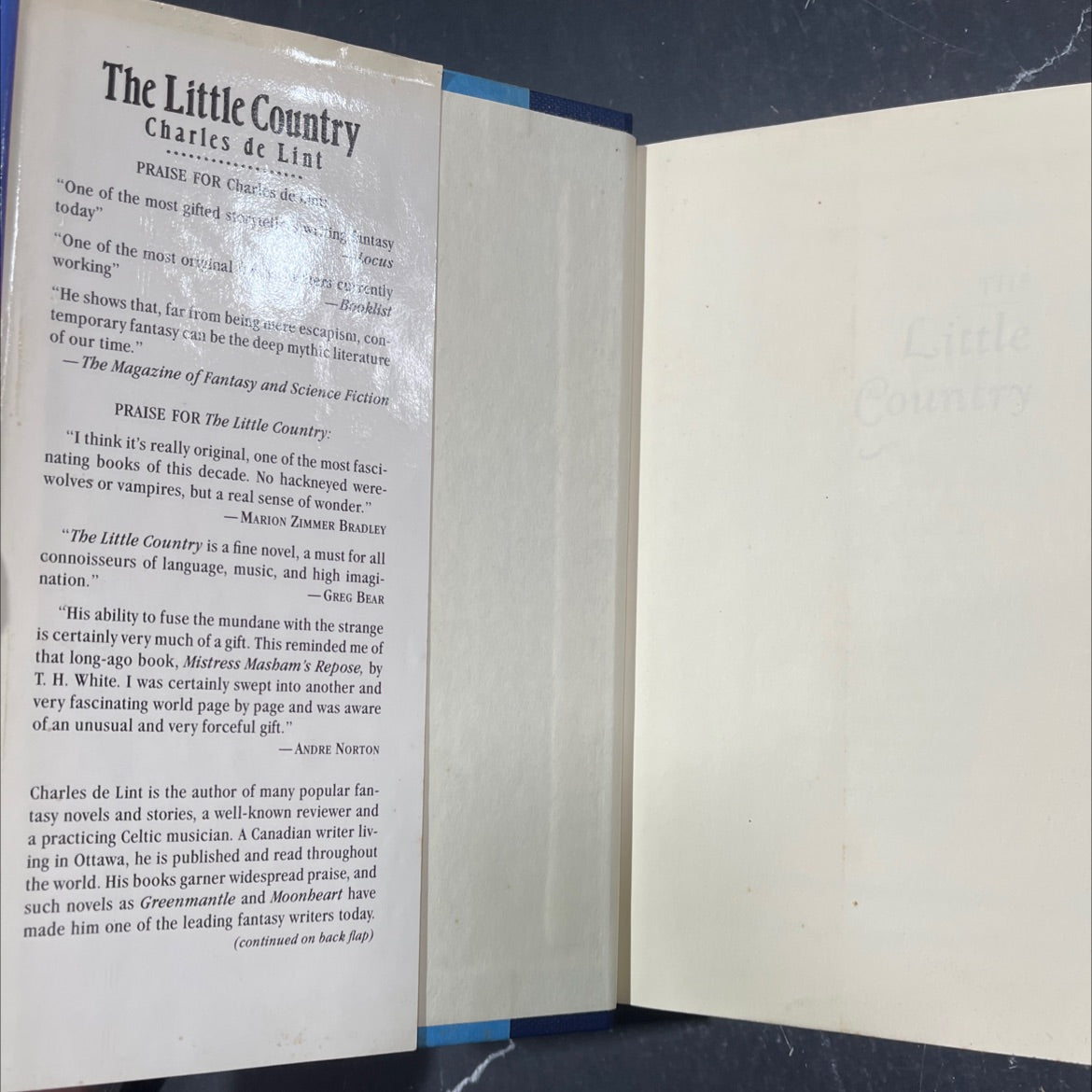 the little country book, by charles de lint, 1991 Hardcover image 4