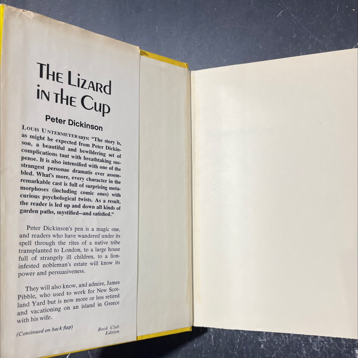 the lizard in the cup book, by peter dickinson, 1972 Hardcover image 4