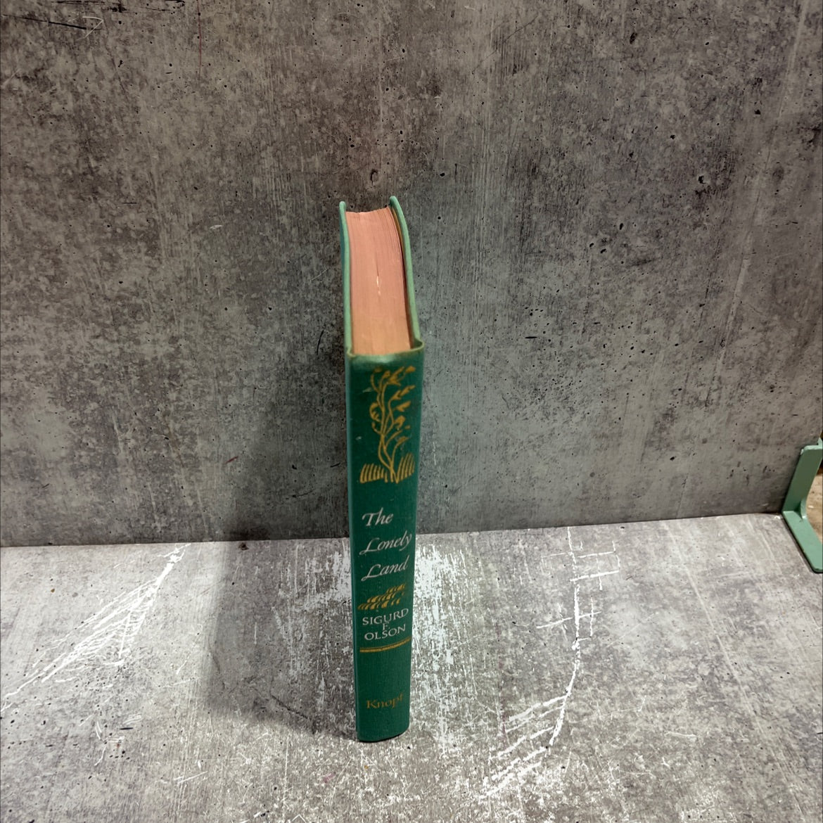 the lonely book, by Sigurd F. Olson, 1961 Hardcover image 4