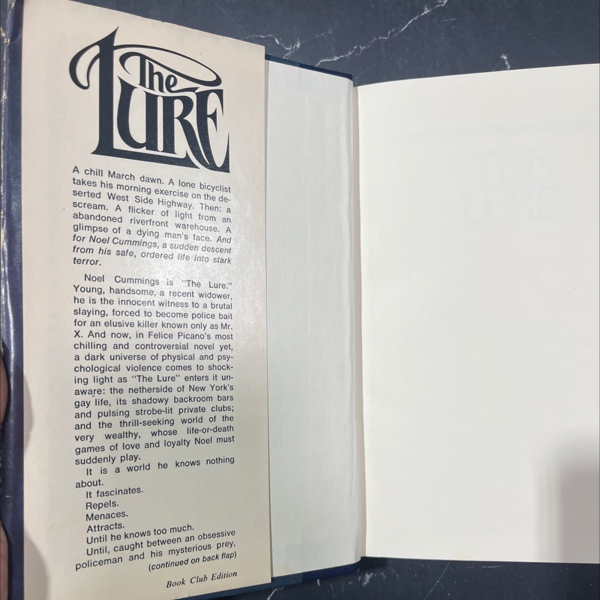 the lure book, by felice picano, 1979 Hardcover image 4