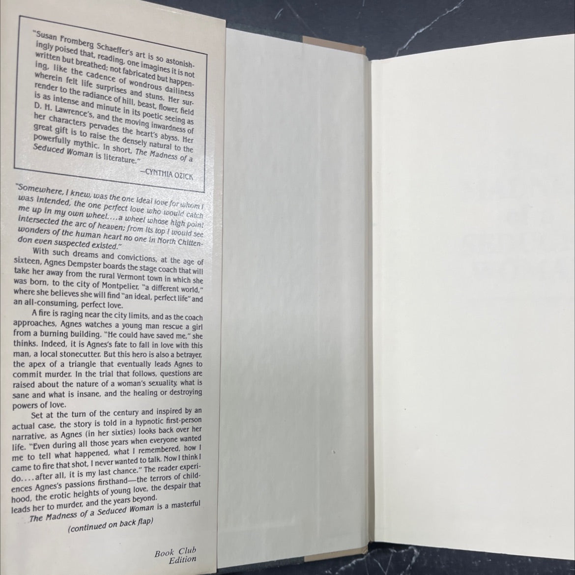 the madness of a seduced woman book, by Susan Fromberg Schaeffer, 1983 Hardcover image 4