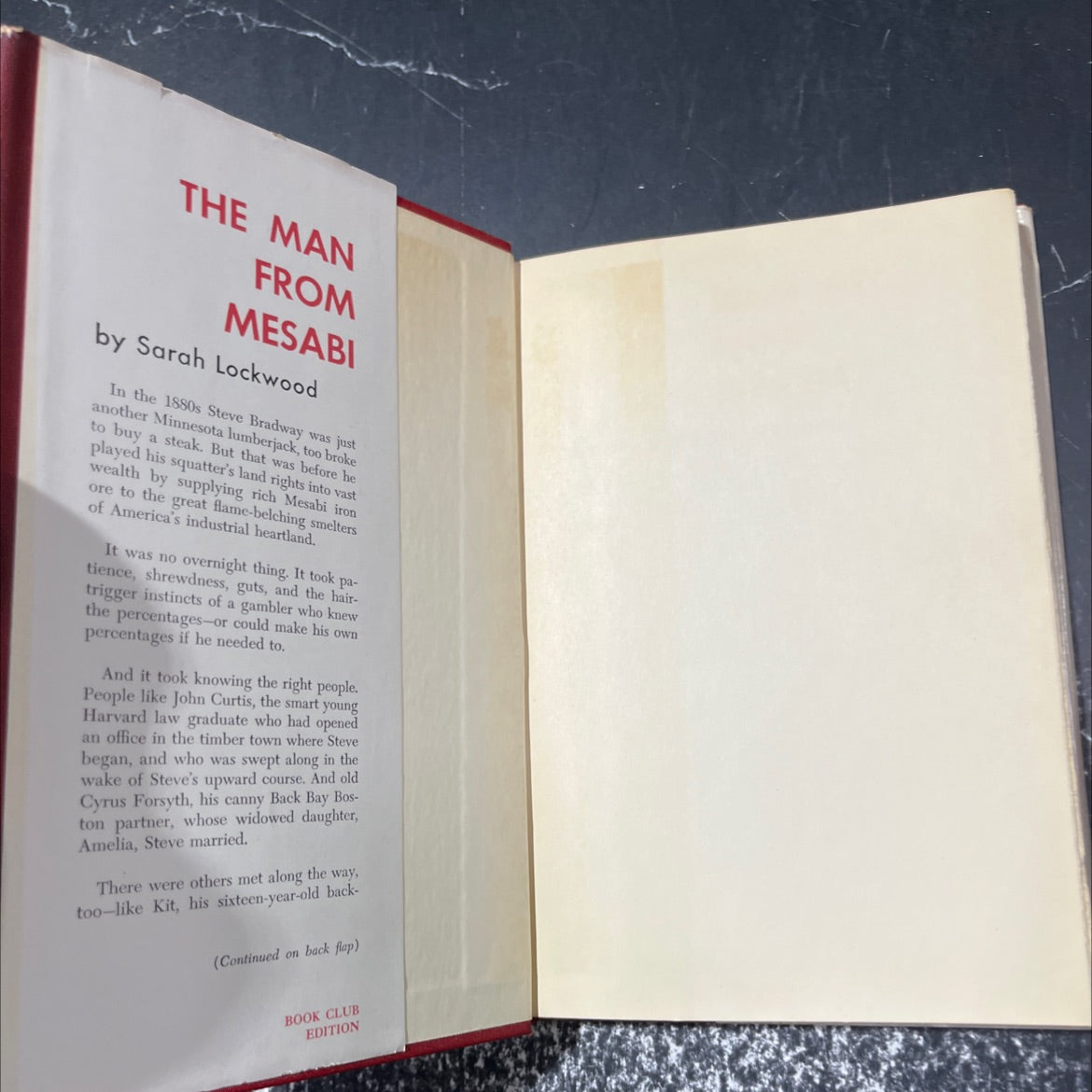 the man from mesabi book, by Sarah Lockwood, 1955 Hardcover image 4