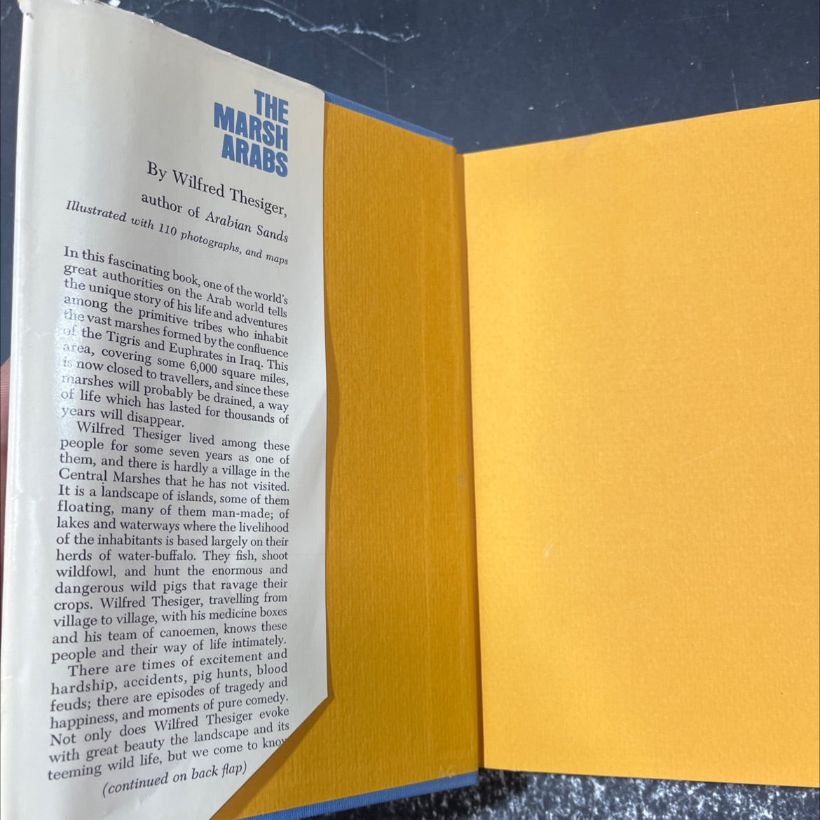 the marsh arabs book, by wilfred thesiger, 1964 Hardcover image 4