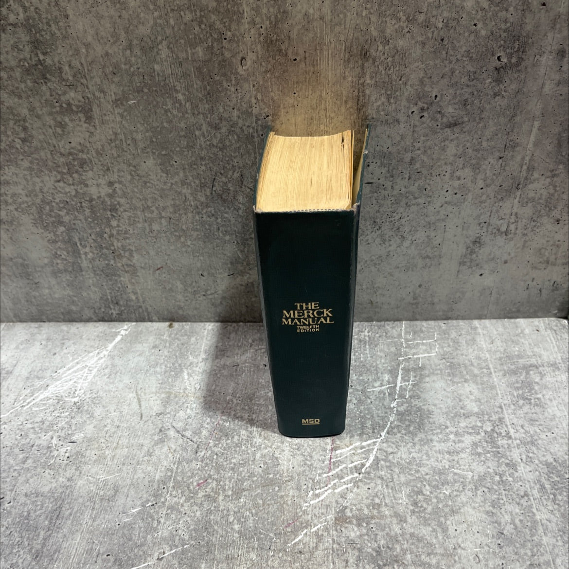 the merck manual of diagnosis and therapy book, by david n. holvey, m.d., 1972 Hardcover image 4
