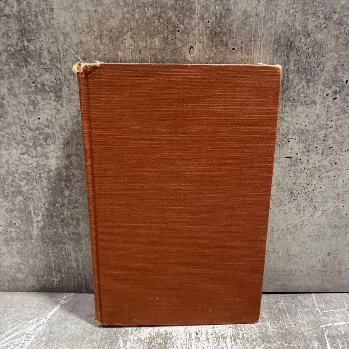 the mudlark book, by theodore bonnet, 1949 Hardcover image 1