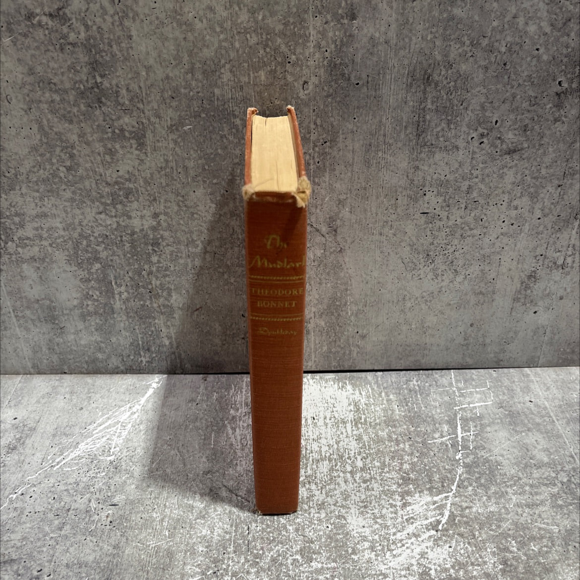 the mudlark book, by theodore bonnet, 1949 Hardcover image 4