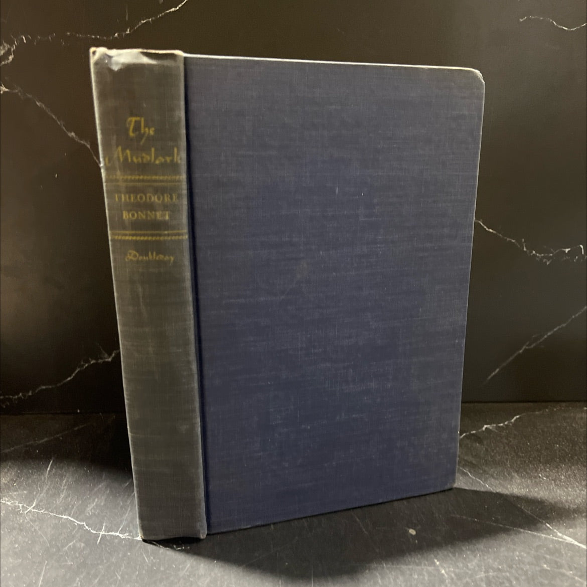the mudlark book, by theodore bonnet, 1949 Hardcover image 1