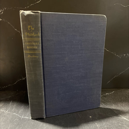 the mudlark book, by theodore bonnet, 1949 Hardcover image 1