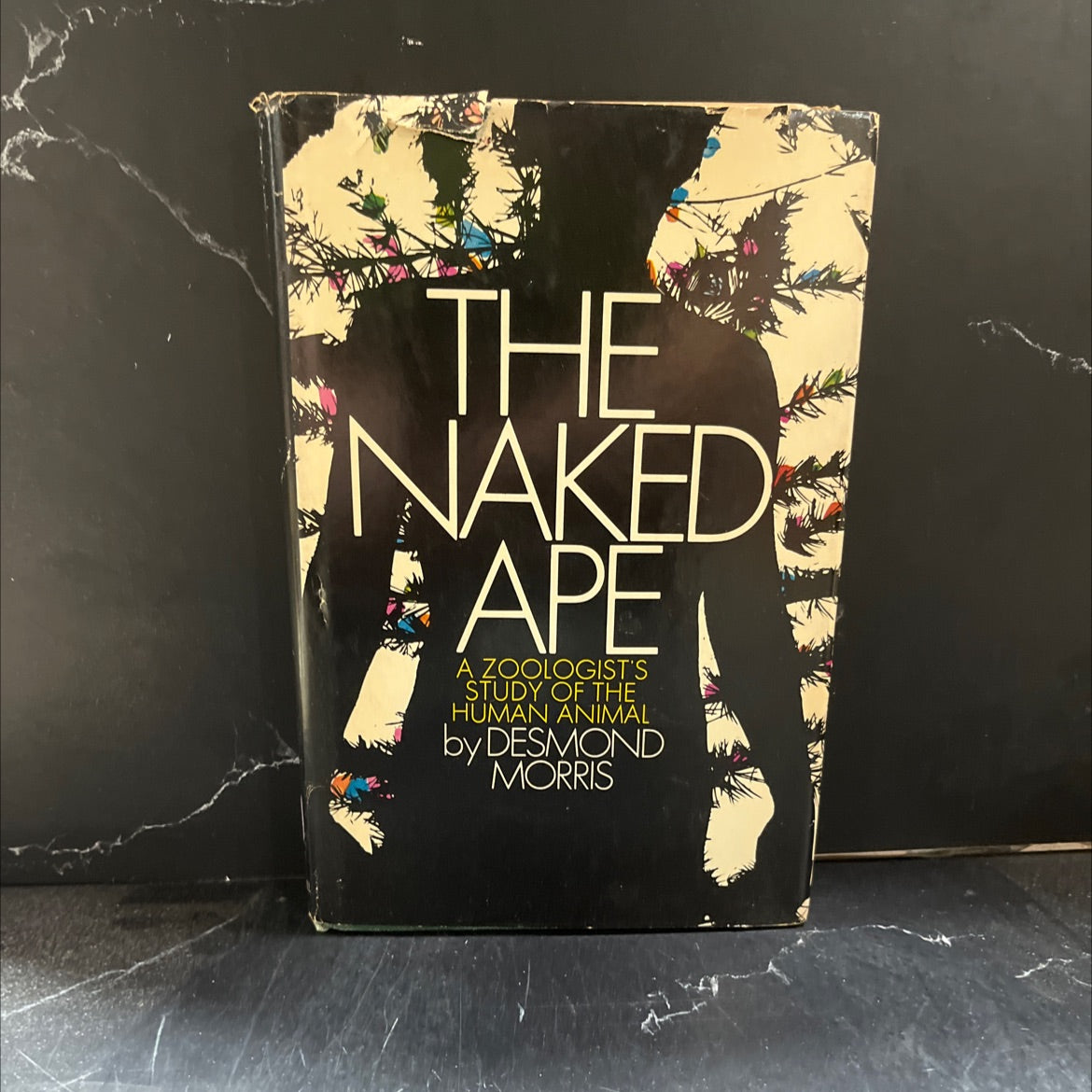 the naked ape a zoologist's study of the human animal book, by desmond morris, 1967 Hardcover image 1