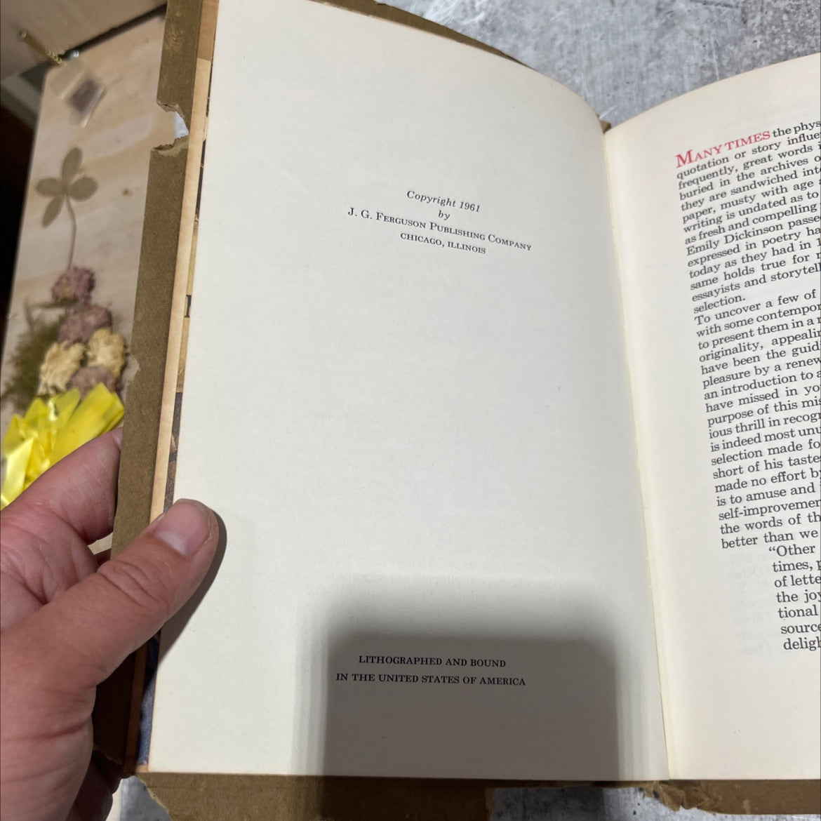 the new joy of words book, by unknown, 1961 Paperback image 3