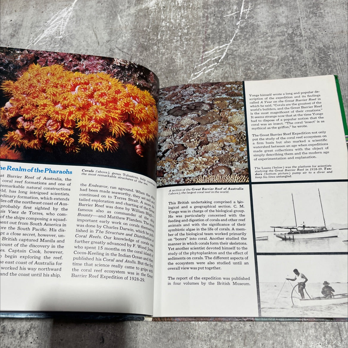 the ocean world of jacques cousteau volume 15 outer and inner space book, by Jacques Yves Cousteau, 1975 Hardcover image 4
